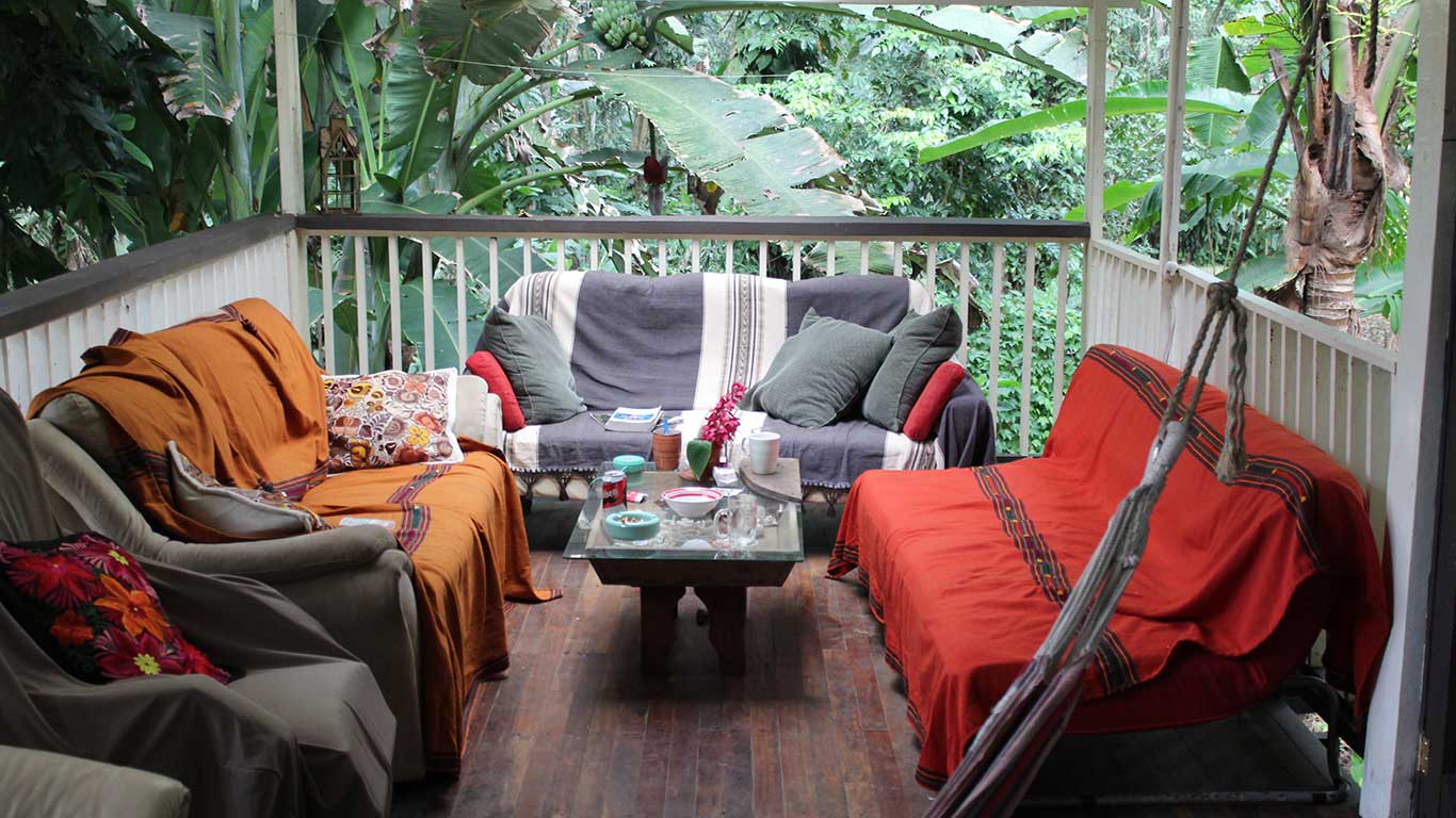 A jungle living room